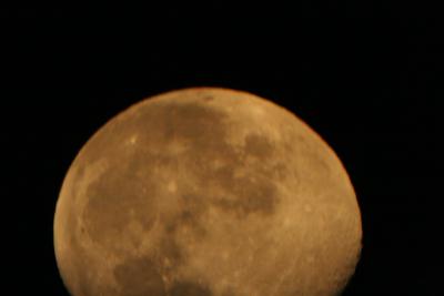 img_7260.jpg